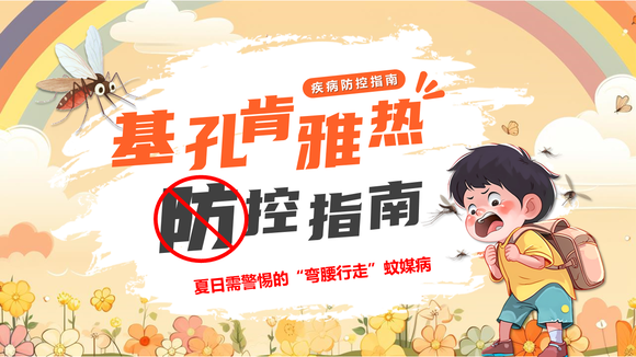 基孔肯雅热防控指南医疗防控护理蚊媒病PPT