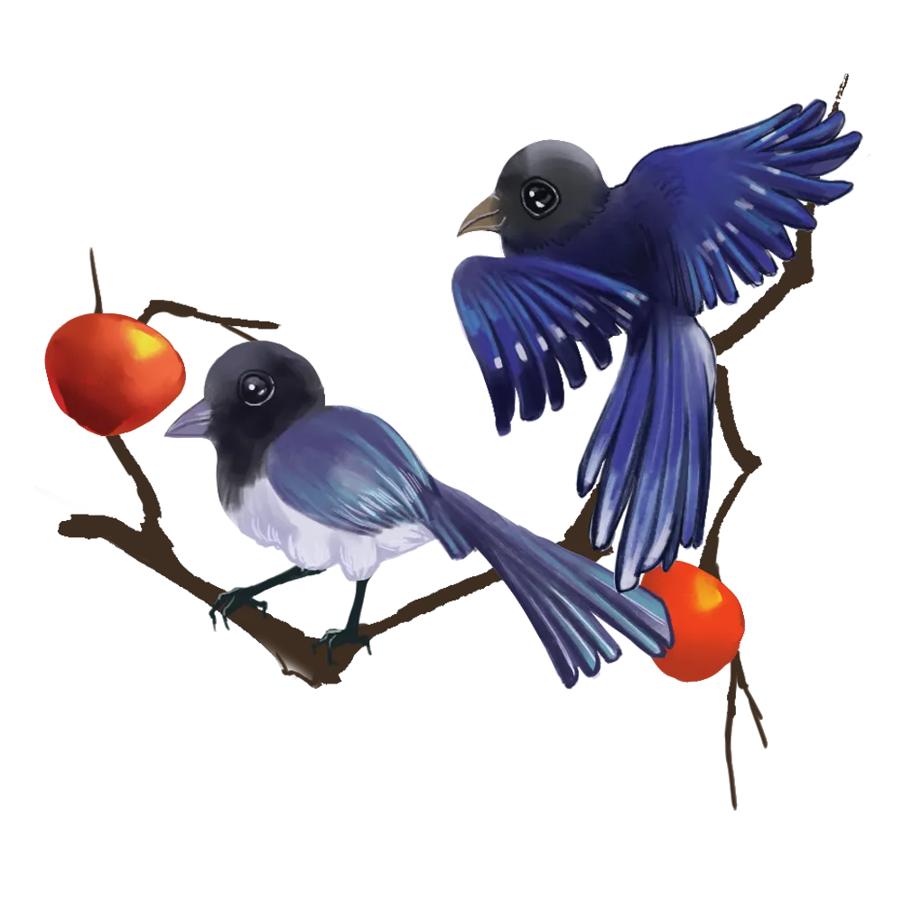 鸟矢量图动物png