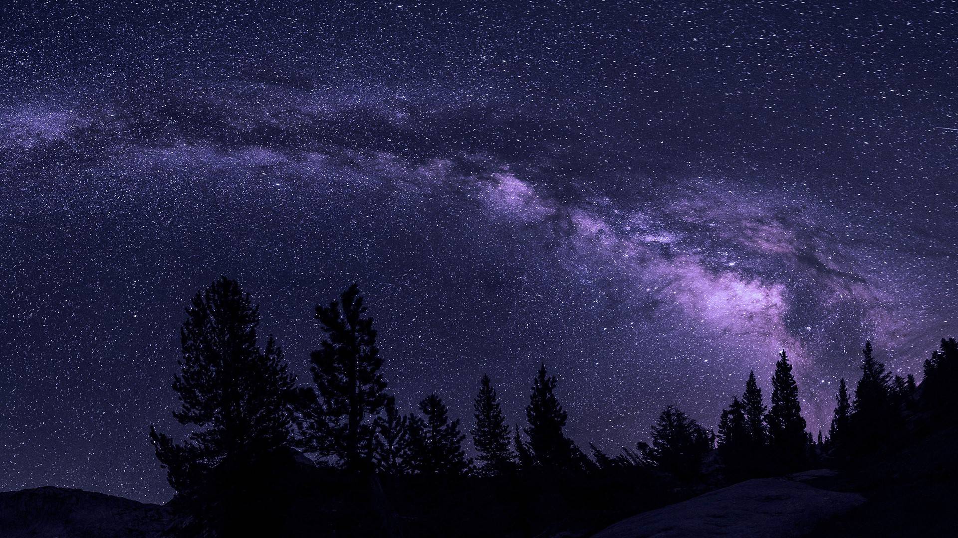 天空树天空ppt背景图