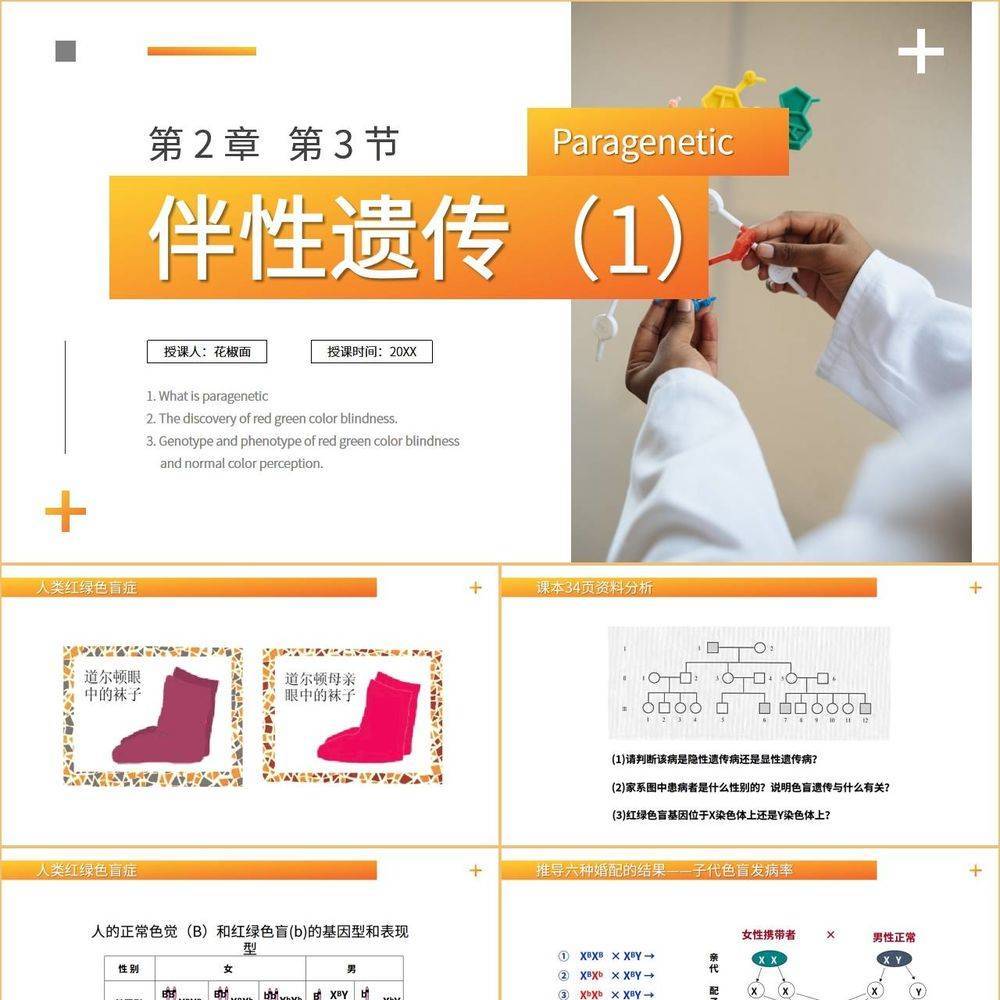 基因學伴性遺傳初高中生物PPT課件