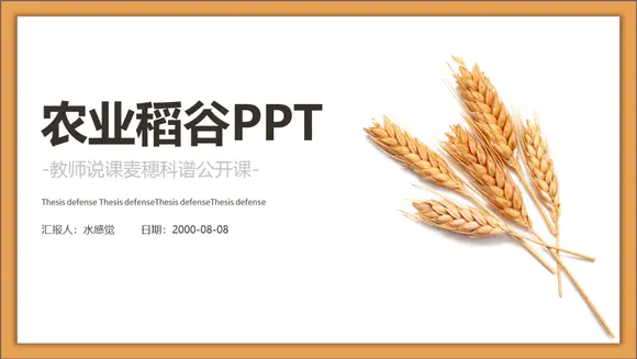 讲农业谈稻谷ppt课件