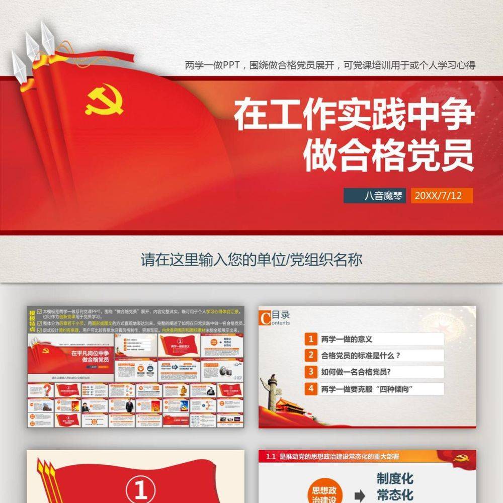 黨政黨建爭做合格黨員PPT課件