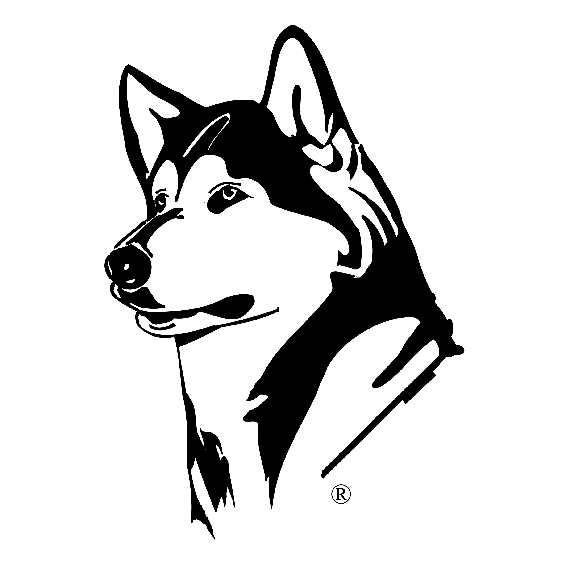 狗食肉目动物哈士奇png编号50451