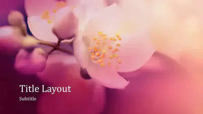 粉色樱花中国风PPT免费模板