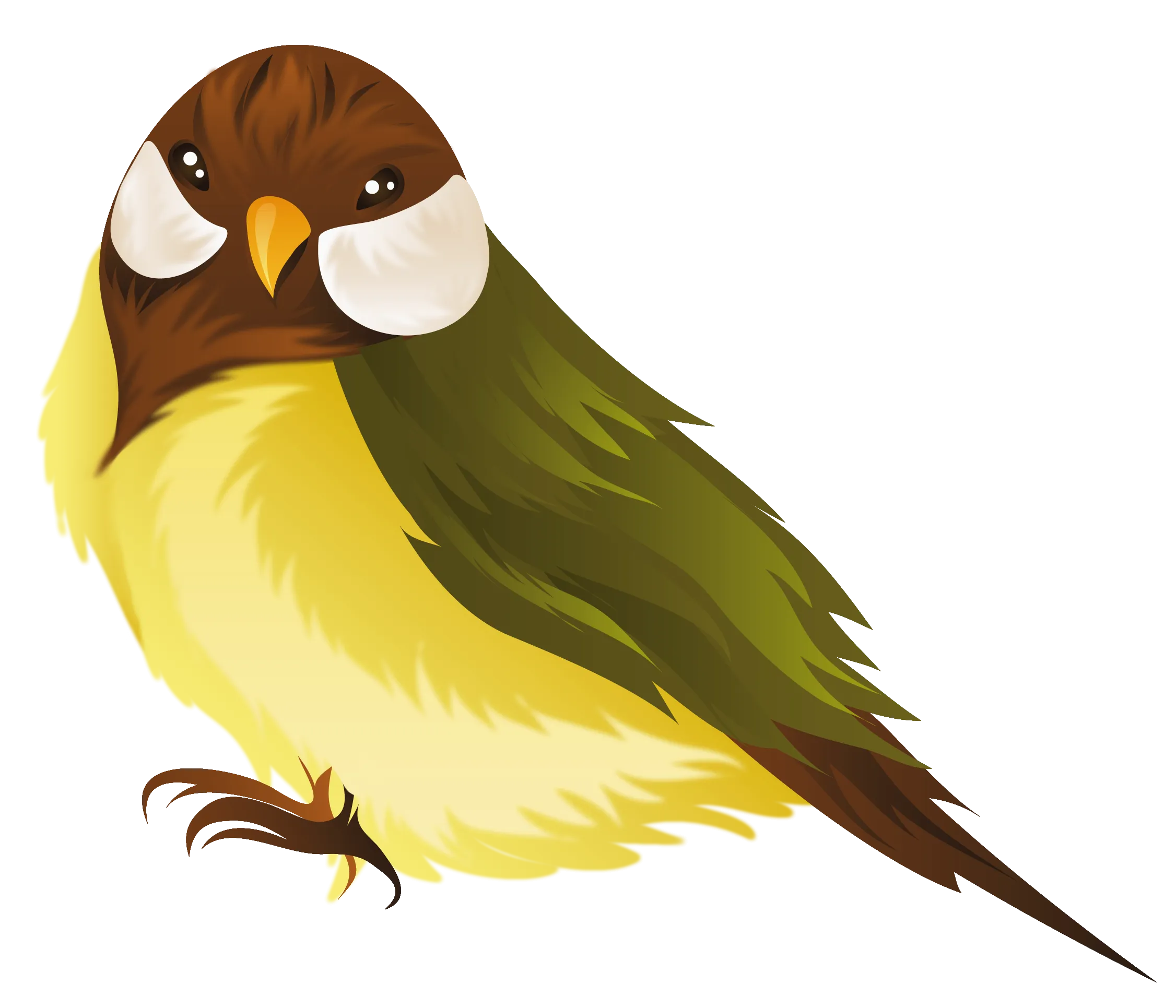 矢量图喙鸟鸟png