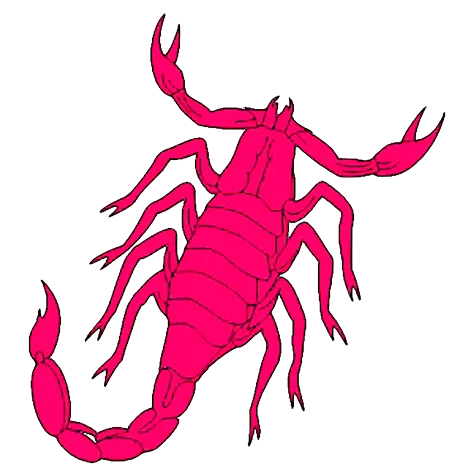 节肢动物蝎子矢量图天蝎座png