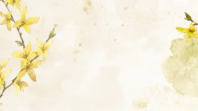 手绘小清新黄色花朵迎春花古风ppt背景图 免费下载 Ppter吧