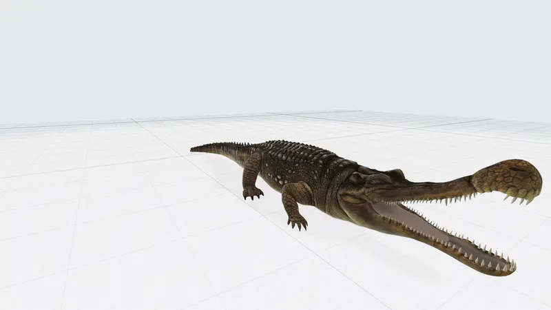 鳄鱼PPT3D模型