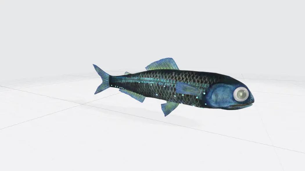 小鱼PPT3D模型