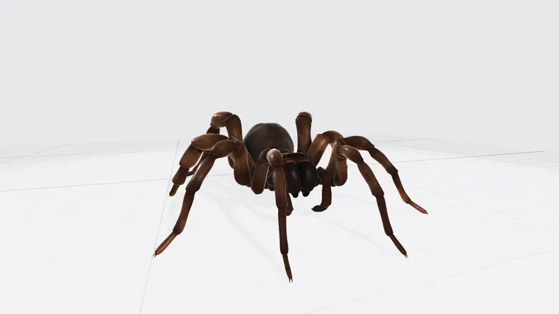蜘蛛PPT3D模型