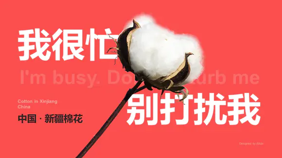 中国新疆棉花宣传PPT模板