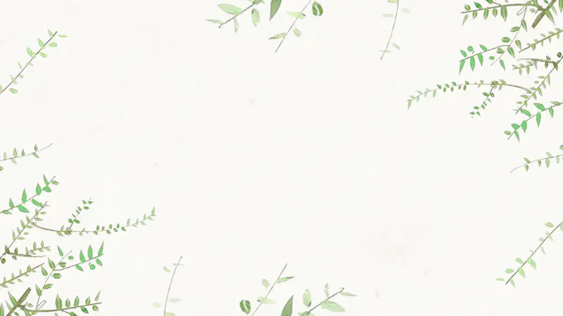 春天小清新叶子边框ppt背景图