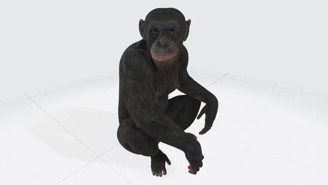 猿PPT3D模型