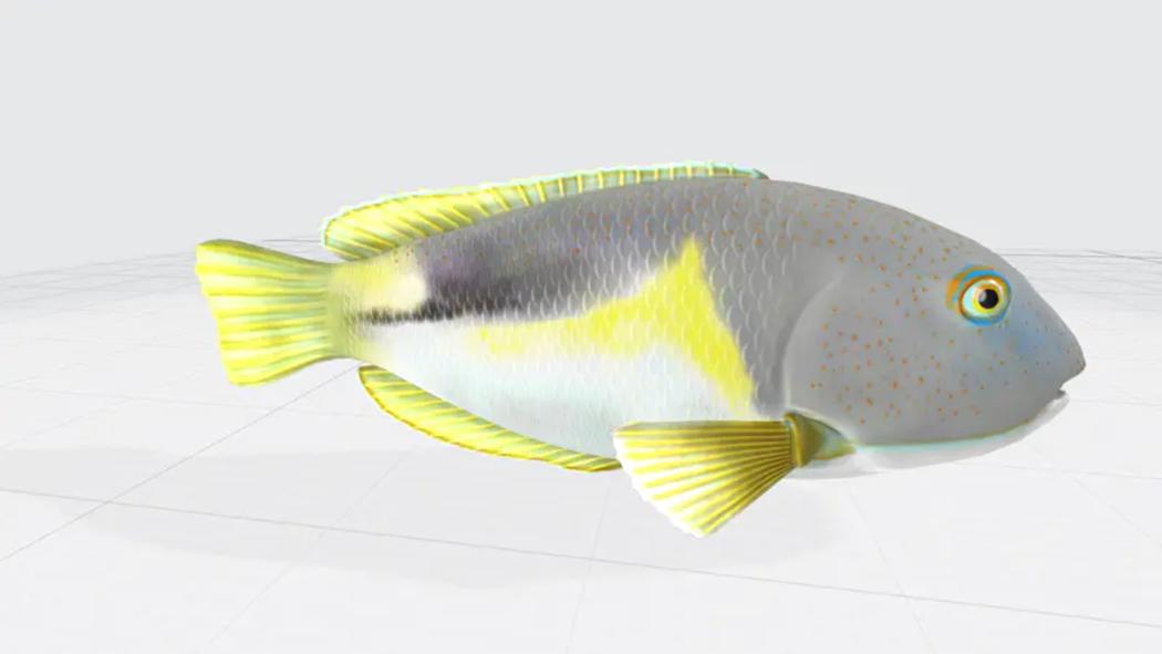 3D黄色点缀鱼