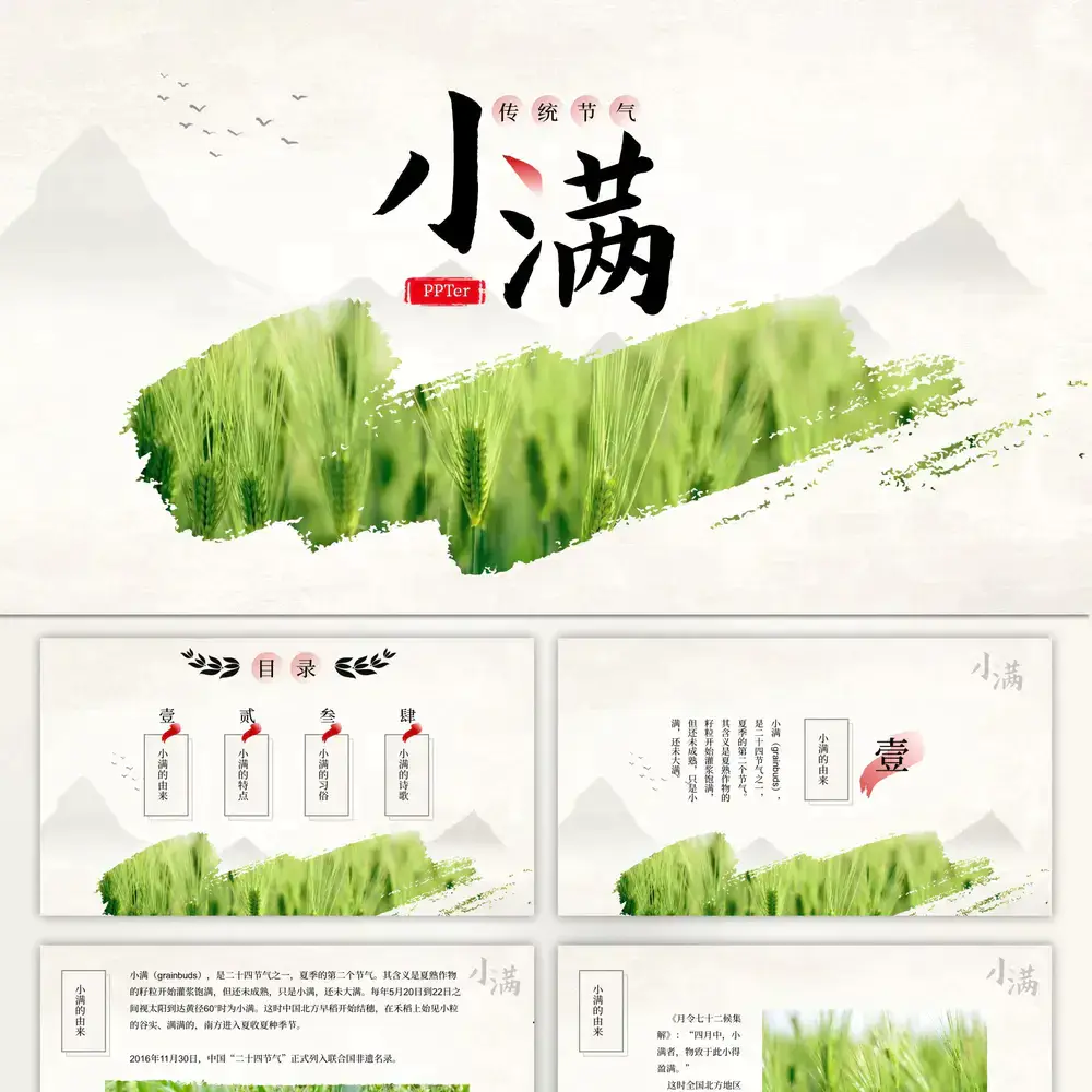 传统节气小满一抹绿色ppt模板