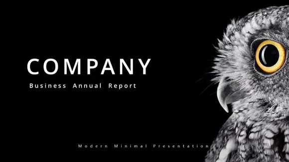 黑色鹰隼猫头鹰公司业务年度报告PPT模板