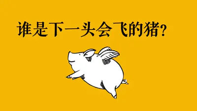 飞起来的猪商机风口飞猪PPT免费模板