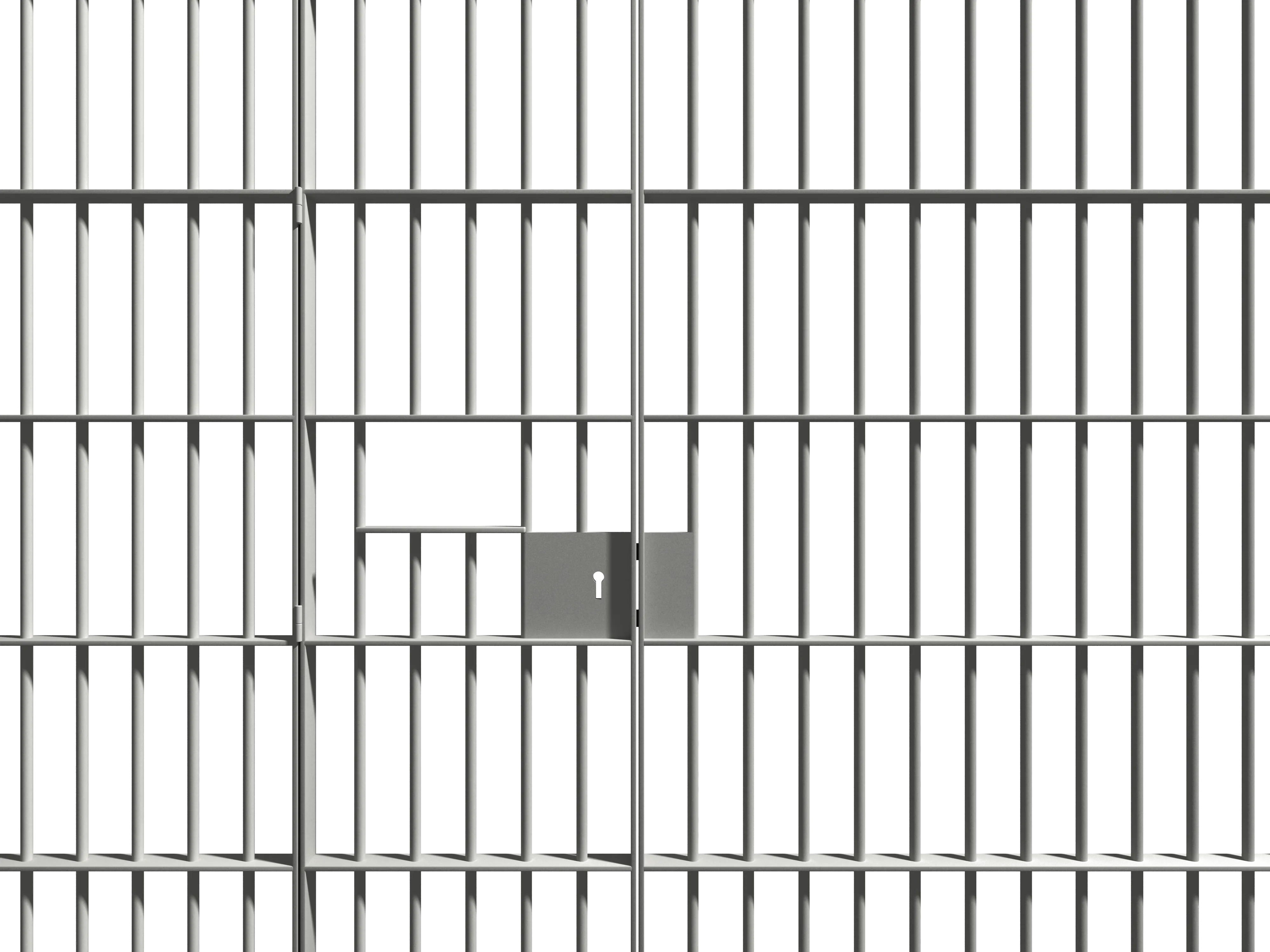 黑白鹦鹉文档监狱png