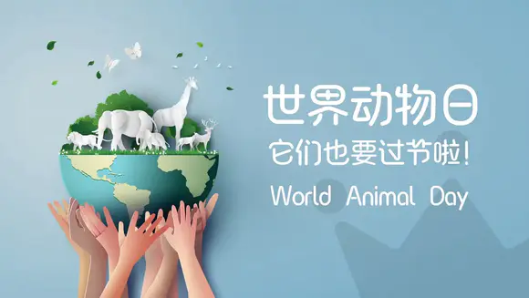 《世界动物日》生态地球保护地球ppt模板