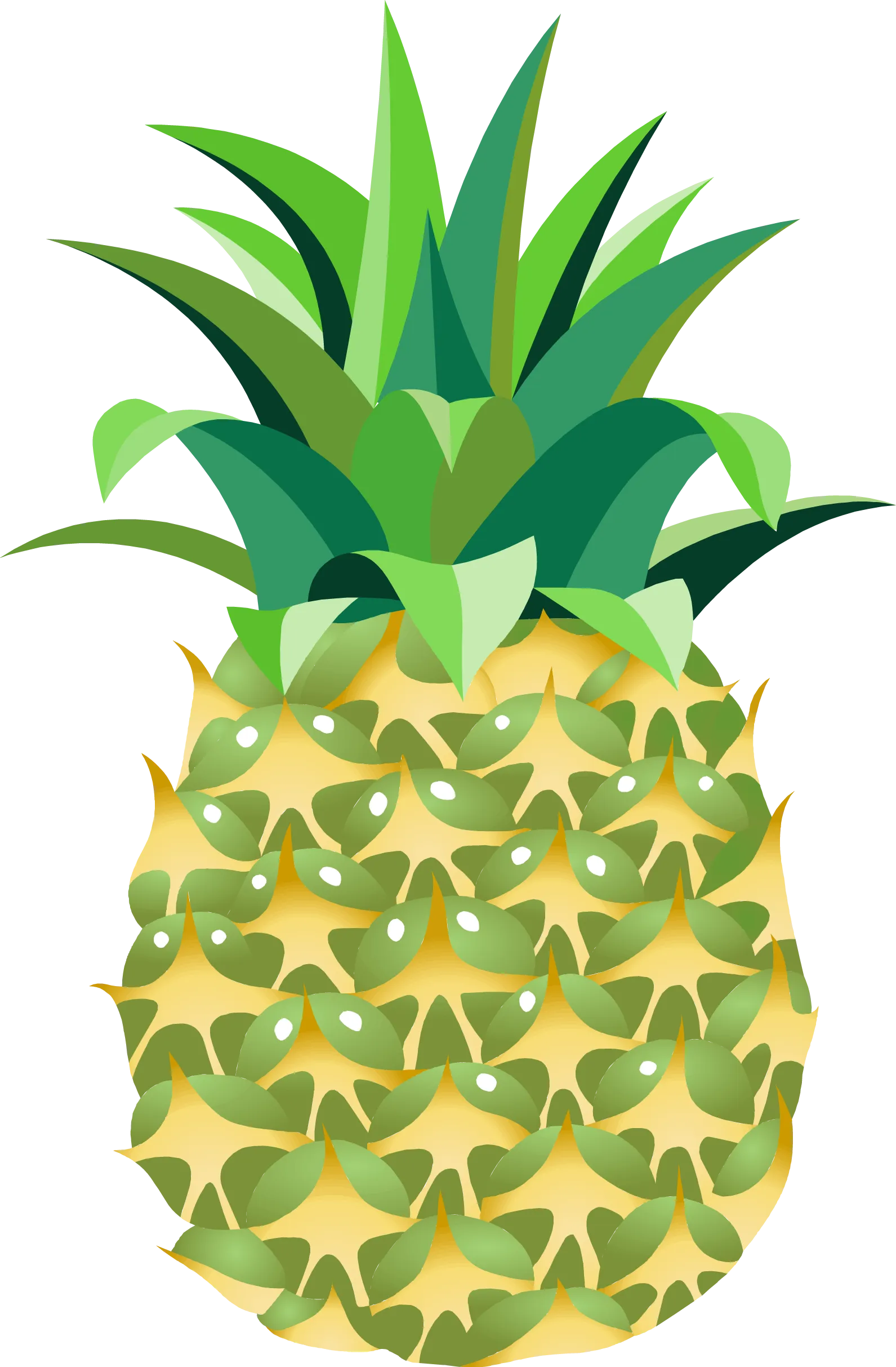 菠萝水果矢量图菠萝png