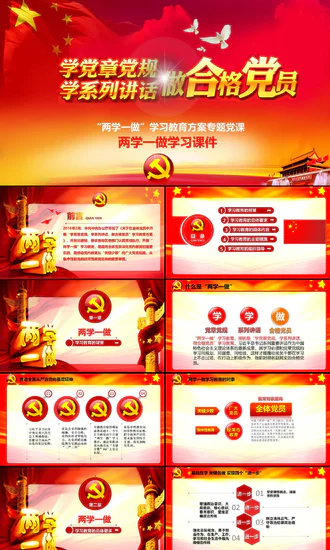 学党章党规做合格党员两学一做PPT课件