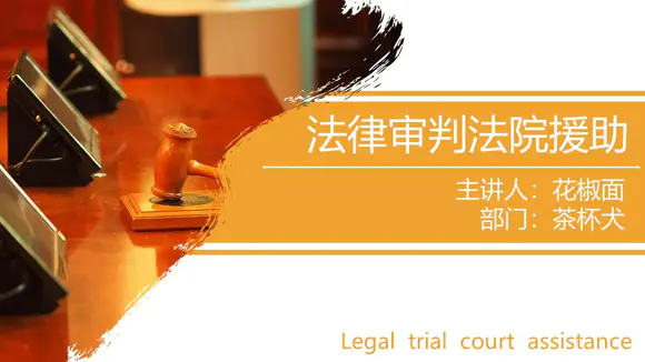 法院审判法律援助汇总学习PPT模板