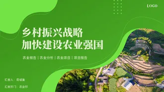 全面建设乡村振兴，农业强国PPT模板