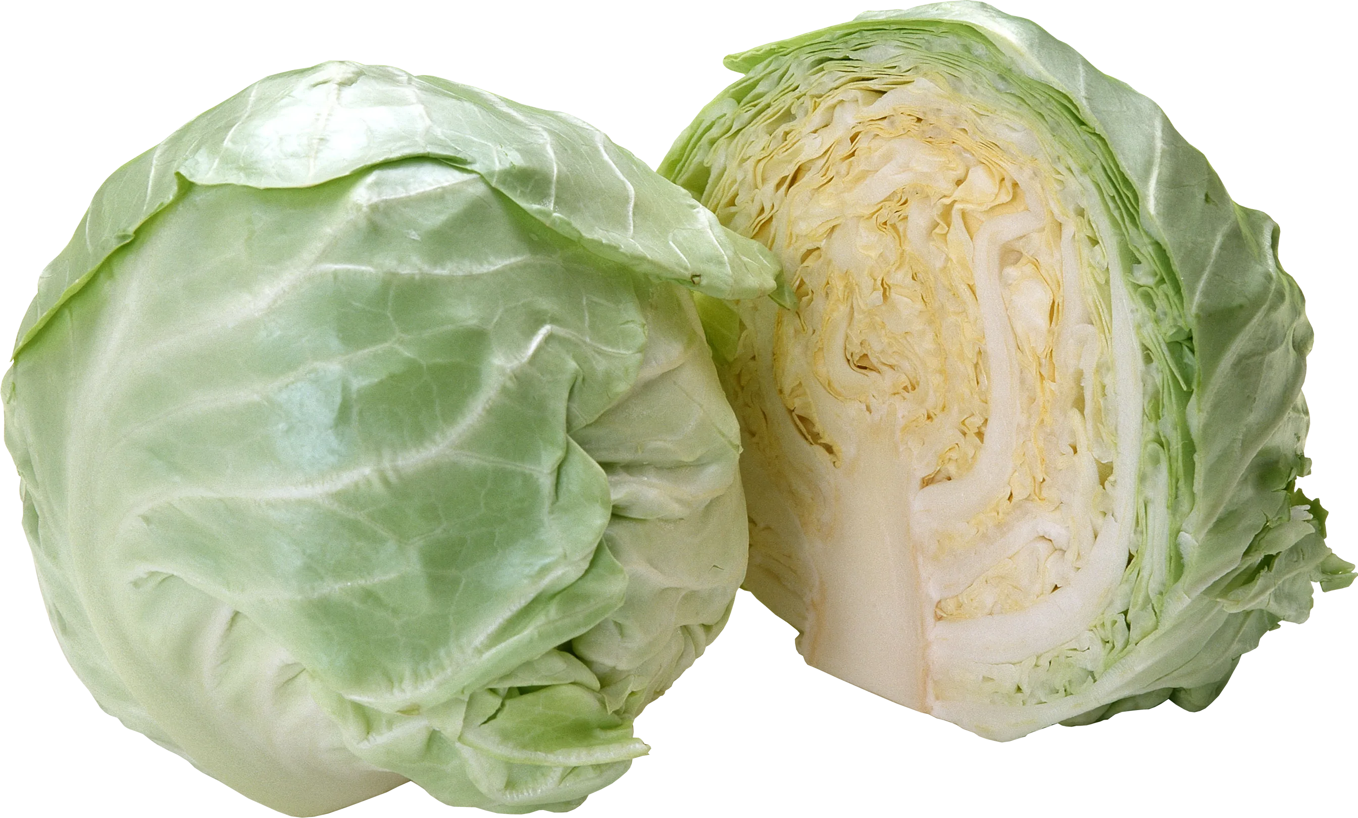 卷心菜蔬菜绿色甘蓝png