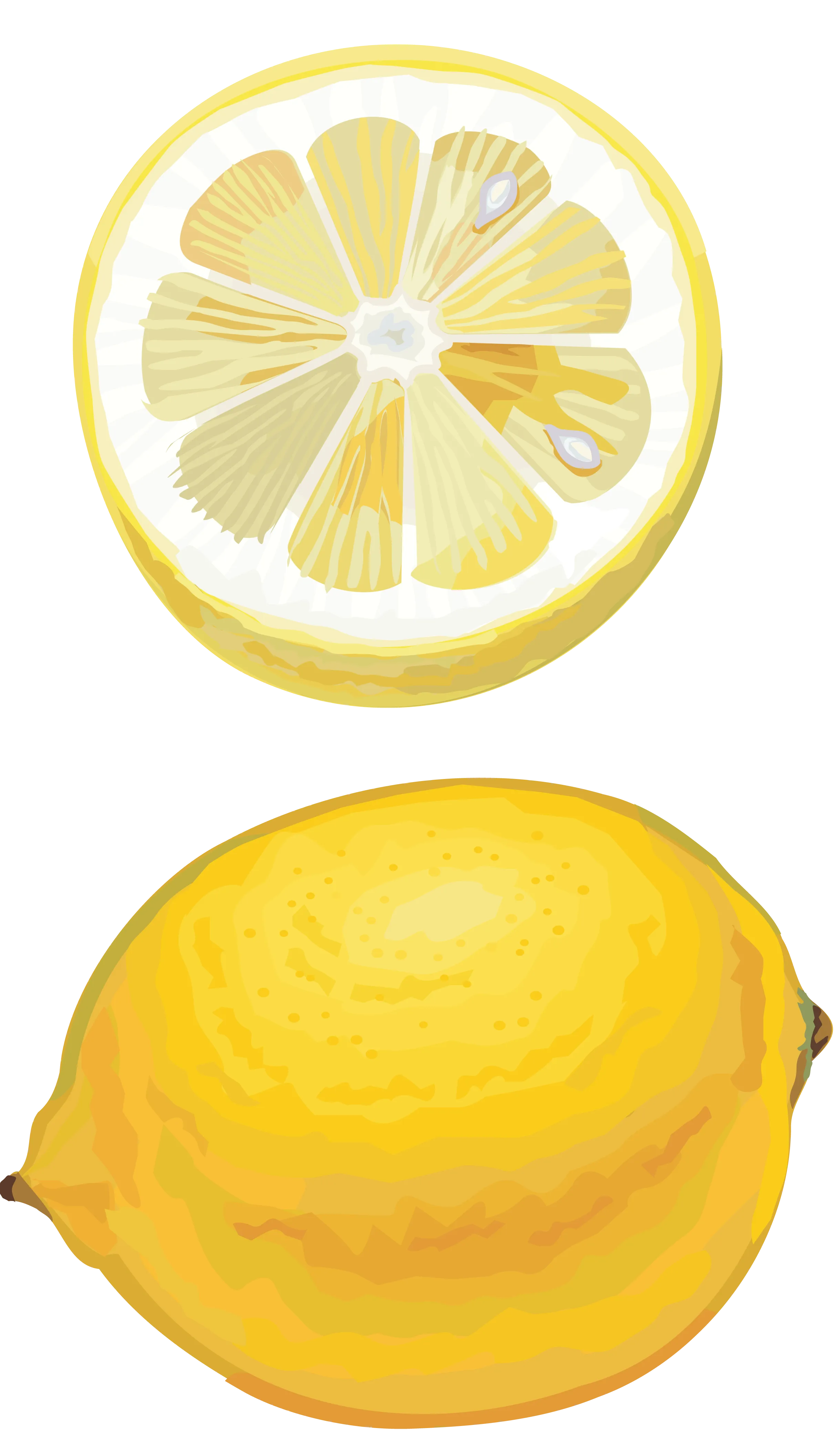 百香果水果矢量图柠檬png