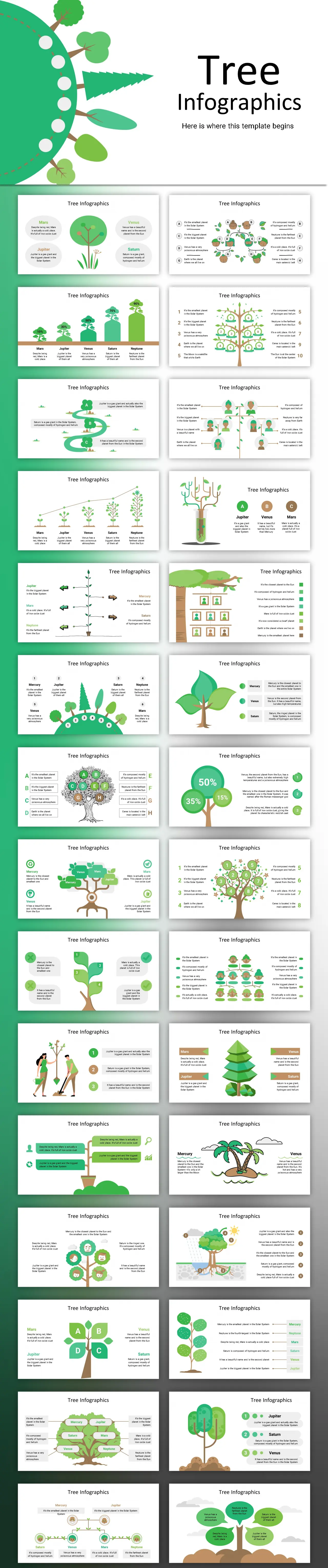 植物图表环保树PPT模板