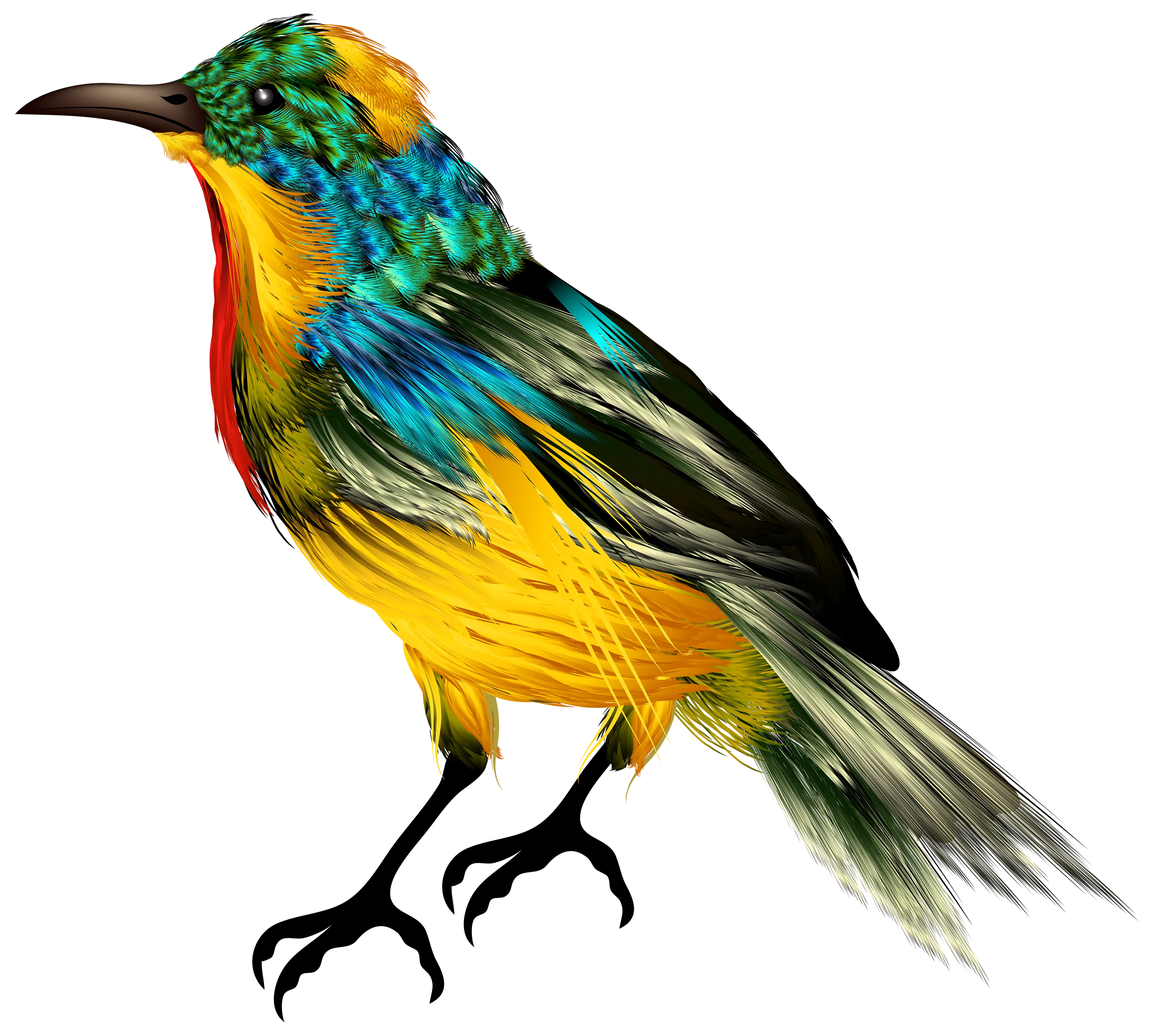 鸟矢量图设计鸟png