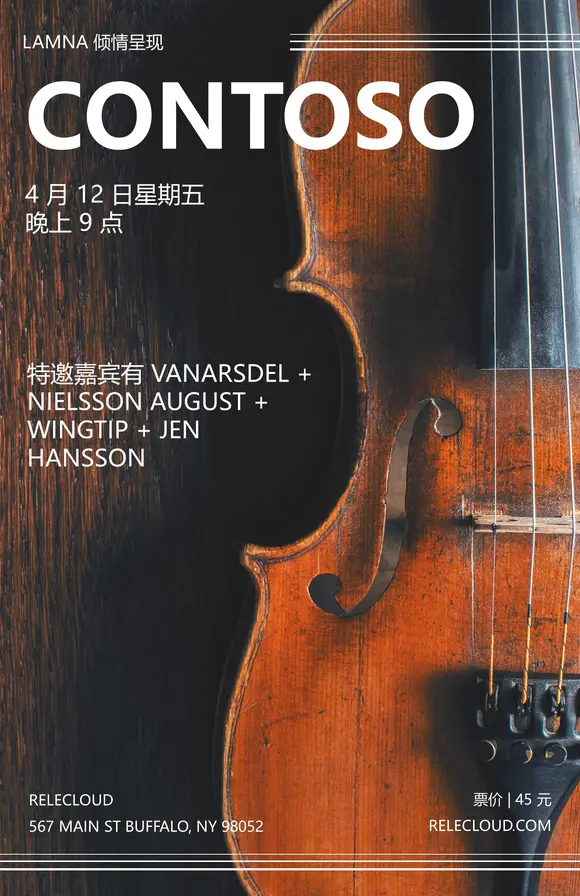 小提琴音乐会海报竖版幻灯片PPT模板