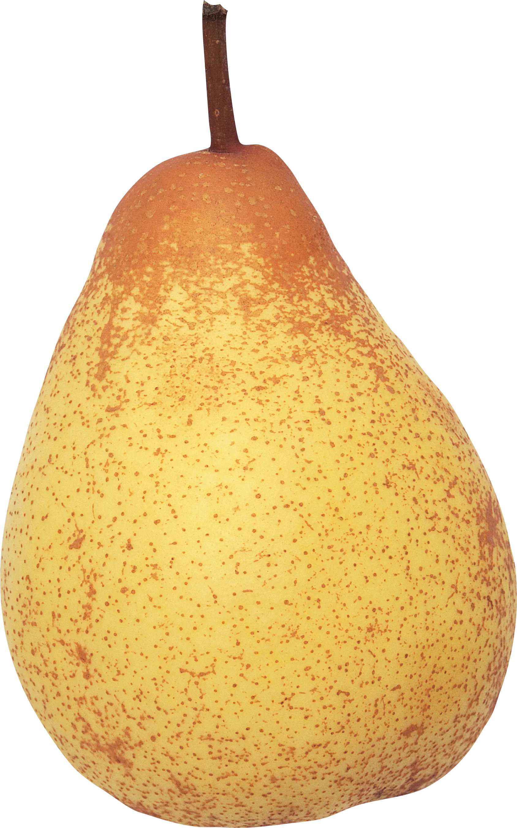 水果梨设计梨png